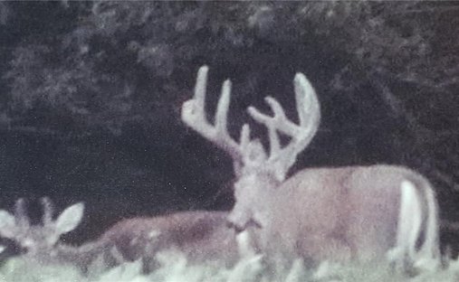 Land in Paola, Kansas, United States 1
