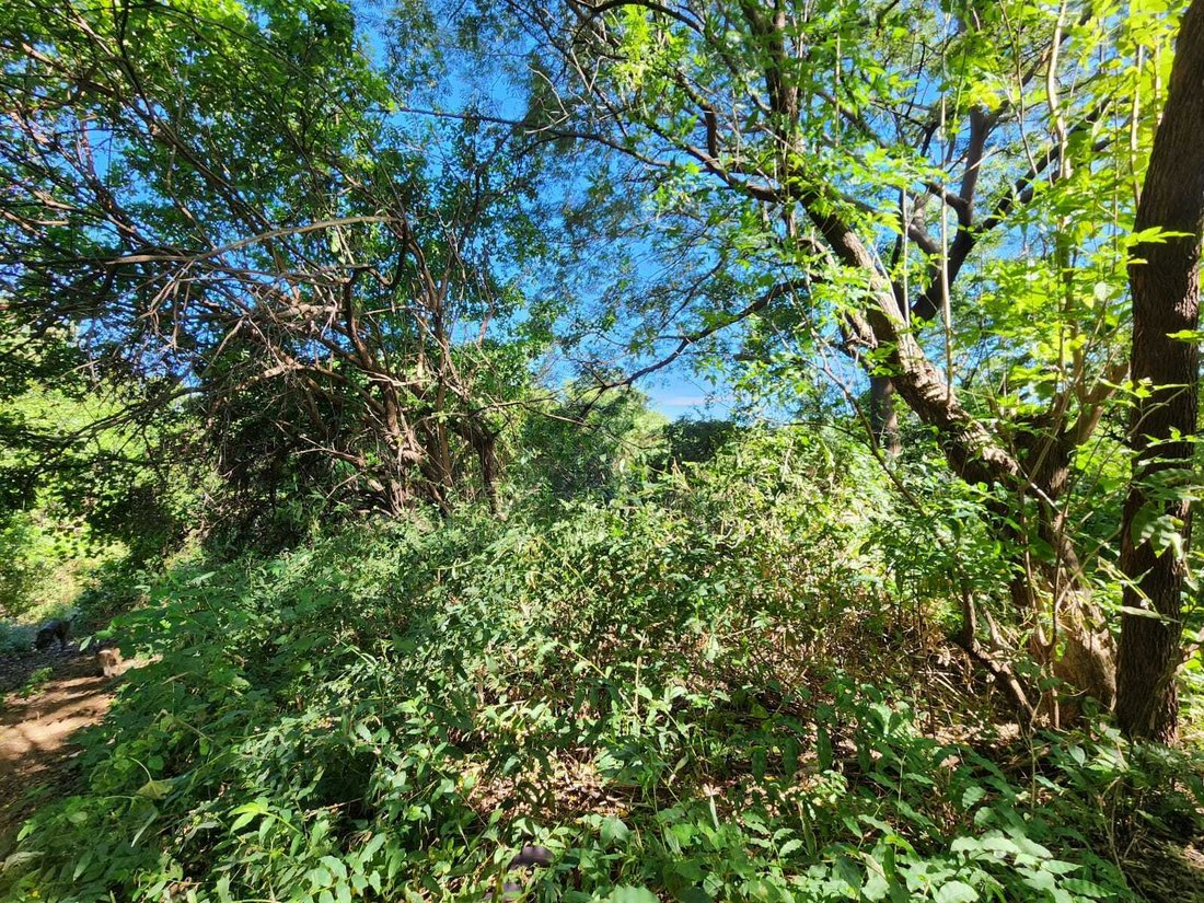Land in Managua, Managua, Nicaragua 5 - 18900293