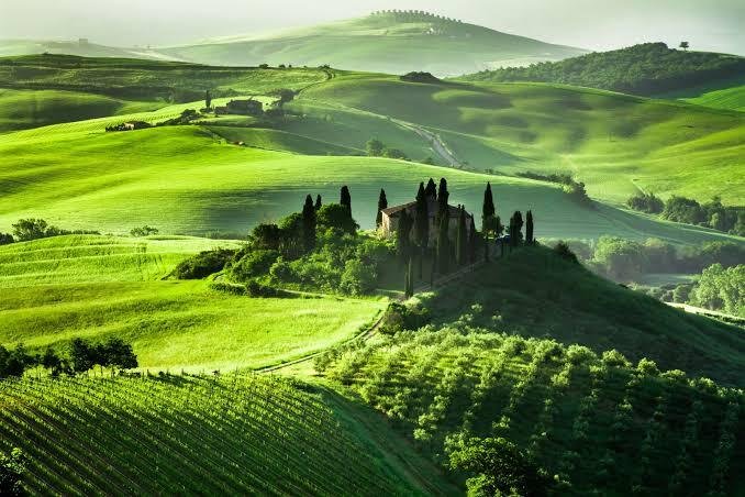 Townhouse in Castelnuovo Berardenga, Tuscany, Italy 4 - 18895384