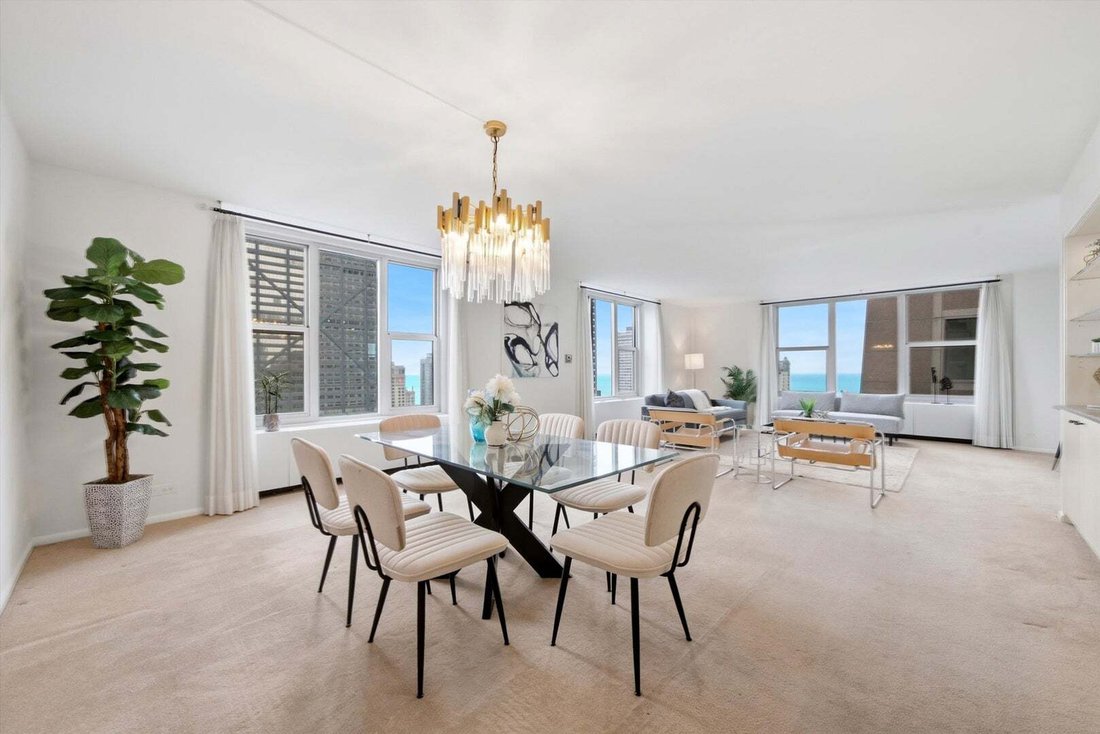 Condo in Chicago, Illinois, United States 2 - 18900417