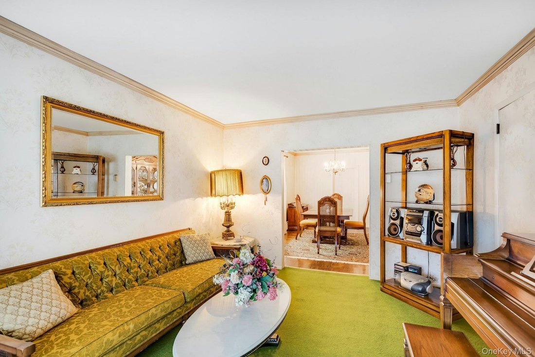 House in Hicksville, New York, United States 5 - 18900902