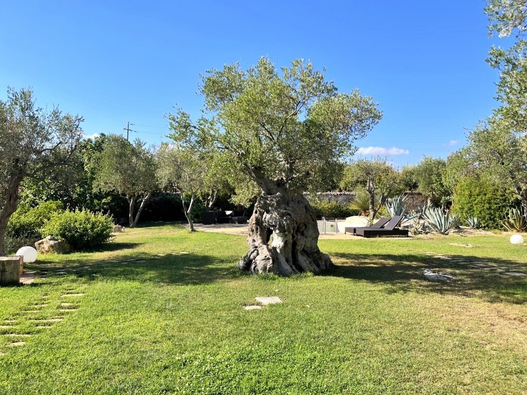 Villa in Ostuni, Apulien, Italien 4 - 18896887