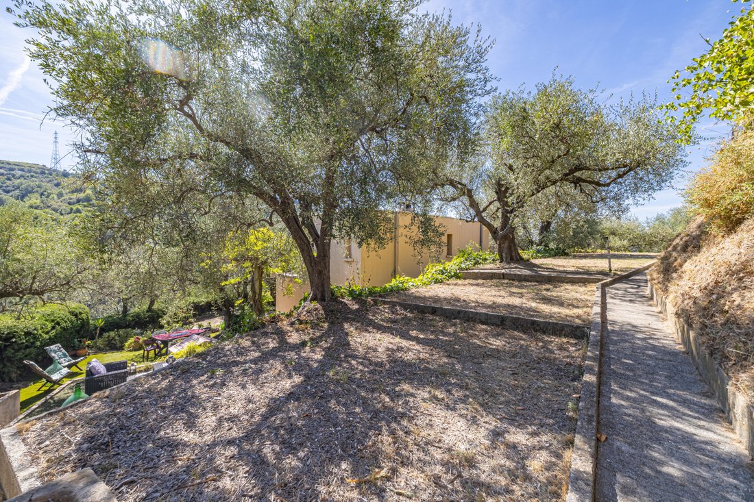 Villa in Nice, Provence-Alpes-Côte d'Azur, France 5 - 18901183