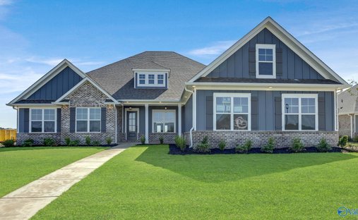 Maison à Madison, Alabama, États-Unis 1