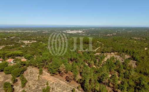 Terreno en Melides, Setúbal Municipality, Portugal 1