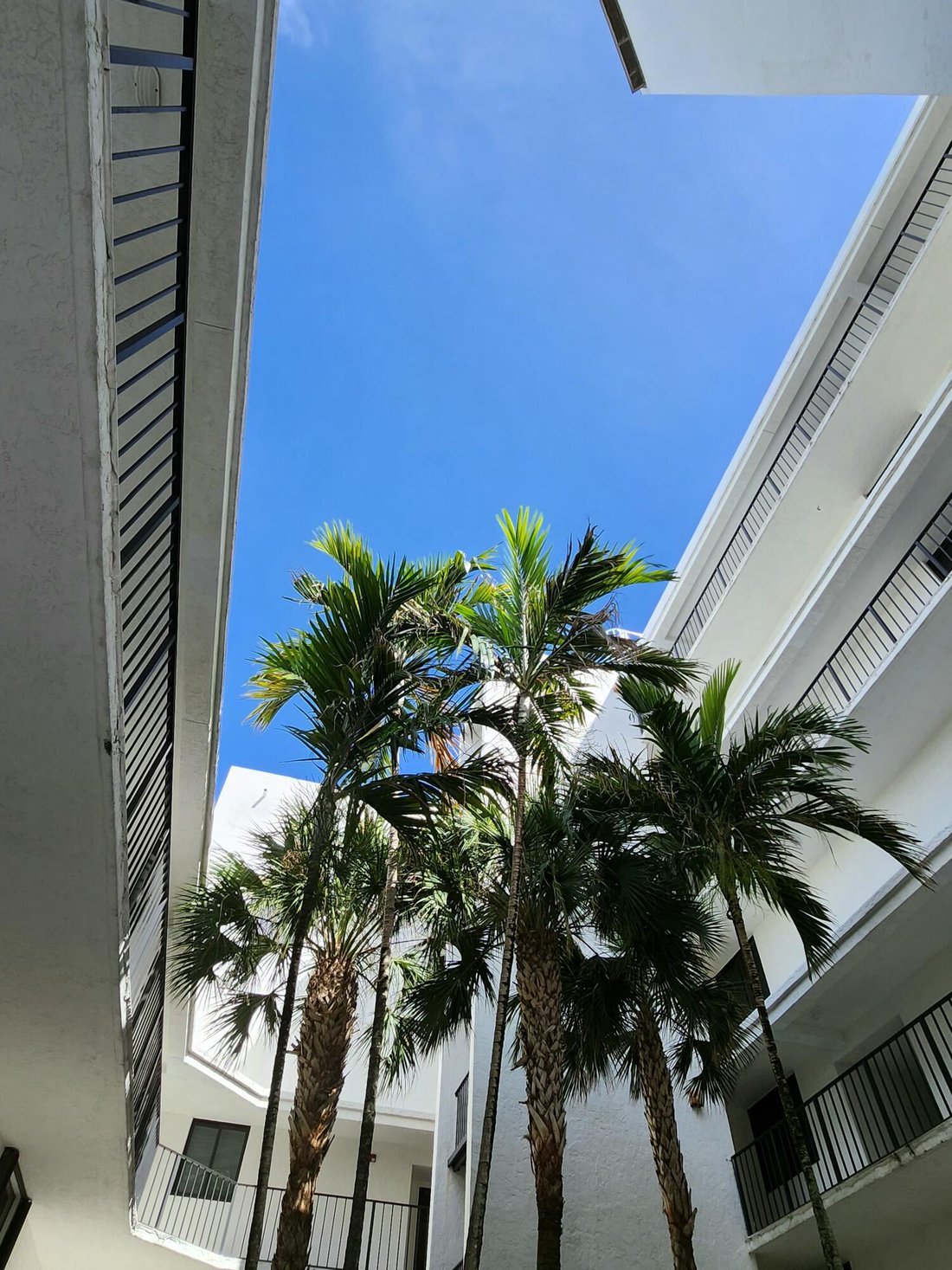 Appartement à Delray Beach, Floride, États-Unis 1 - 18896471