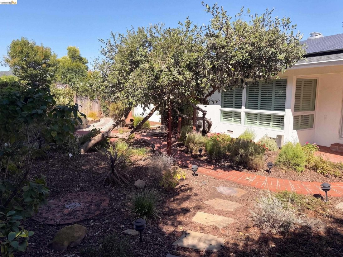 House in Novato, California, United States 5 - 18899789