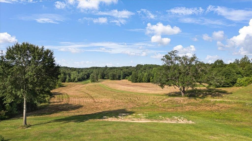 House in Gilmer, Texas, United States 3 - 18900567
