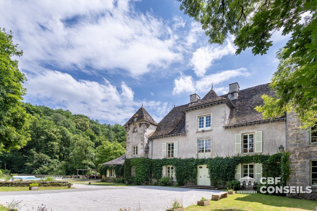 Chateau in Bassignac, Auvergne-Rhône-Alpes, France 1 - 18902299