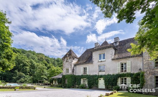 Chateau in Bassignac, Auvergne-Rhône-Alpes, France 1
