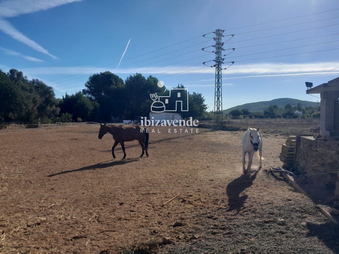 Finca in Sant Joan de Labritja, Balearic Islands, Spain 1 - 18895760