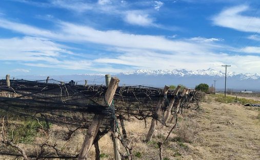 Land in Tupungato, Mendoza Province, Argentina 1