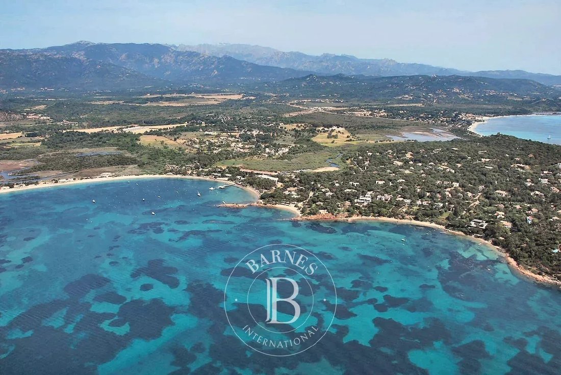 Villa in Lecci, Corsica, France 1 - 17454508