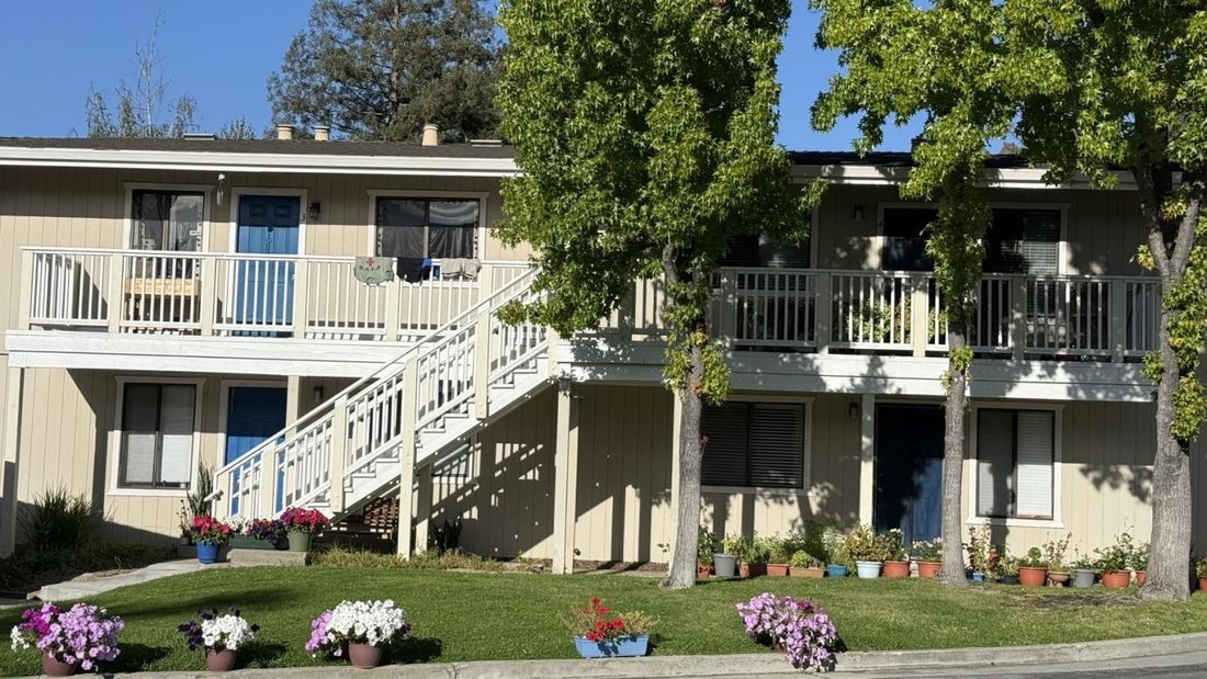 Altro a Cupertino, California, Stati Uniti 1 - 18899725