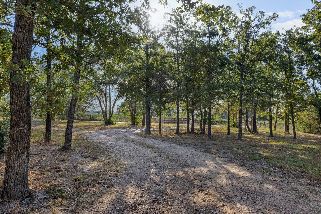 Azienda agricola a La Grange, Texas, Stati Uniti 3 - 18902647