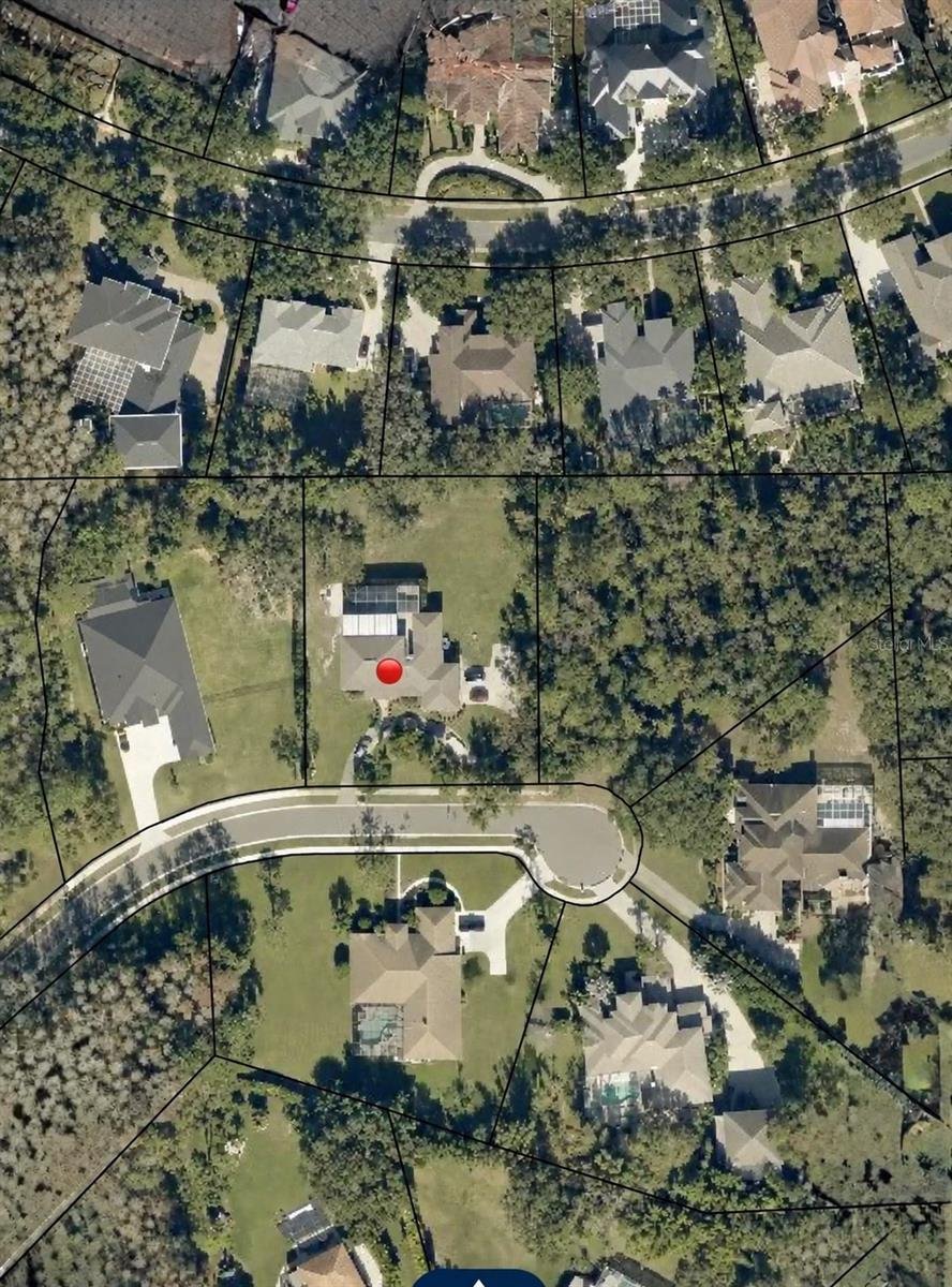 Casa a Tarpon Springs, Florida, Stati Uniti 2 - 17855011