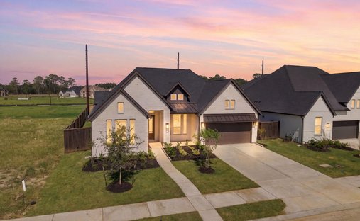 House in Mont Belvieu, Texas, United States 1