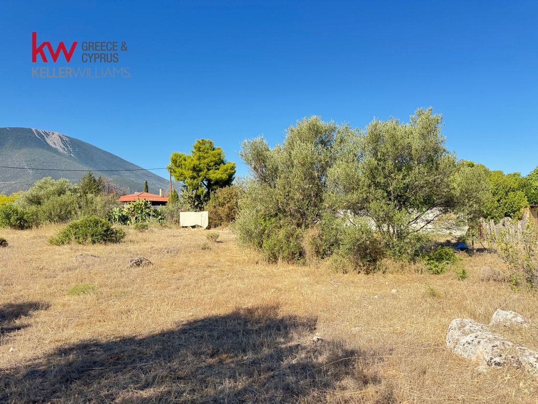 Land in Drosia Municipal Commune, Anthidon, Griechenland 5 - 18581873