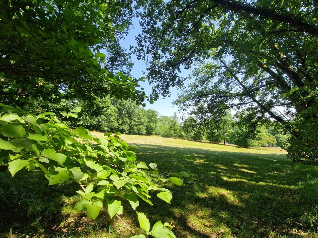 Domaine à Le Bugue, Nouvelle-Aquitaine, France 4 - 18900956