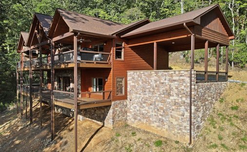 Mineral Bluff, Georgia, Estados Unidos 1