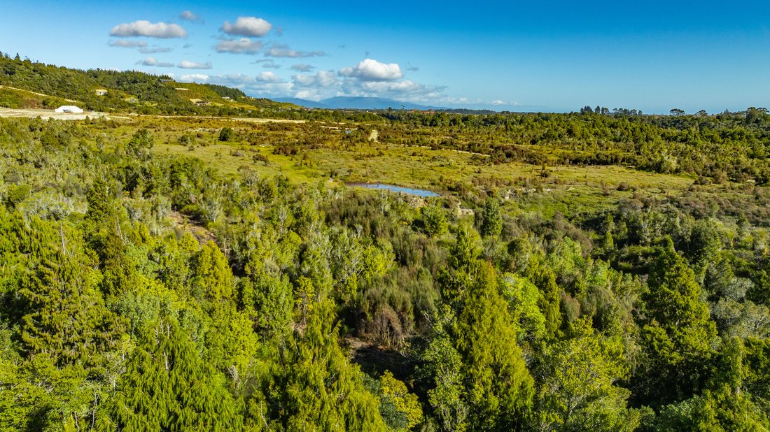 Land in Blue Spur, West Coast, New Zealand 3 - 18901405