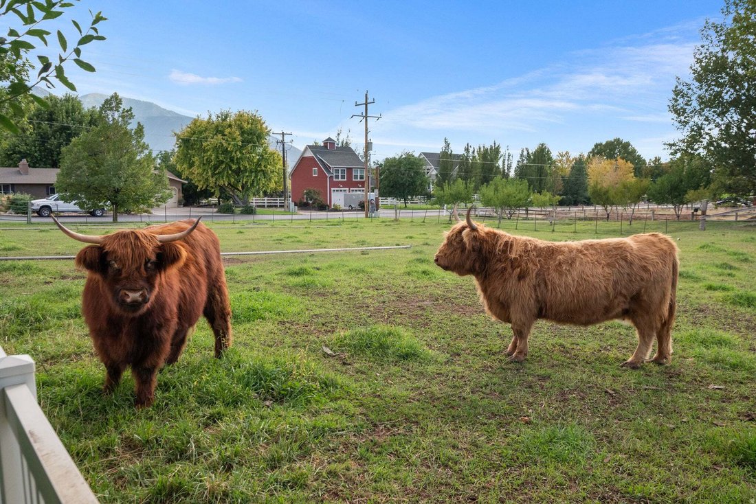 Casa en Mapleton, Utah, Estados Unidos 3 - 18903537