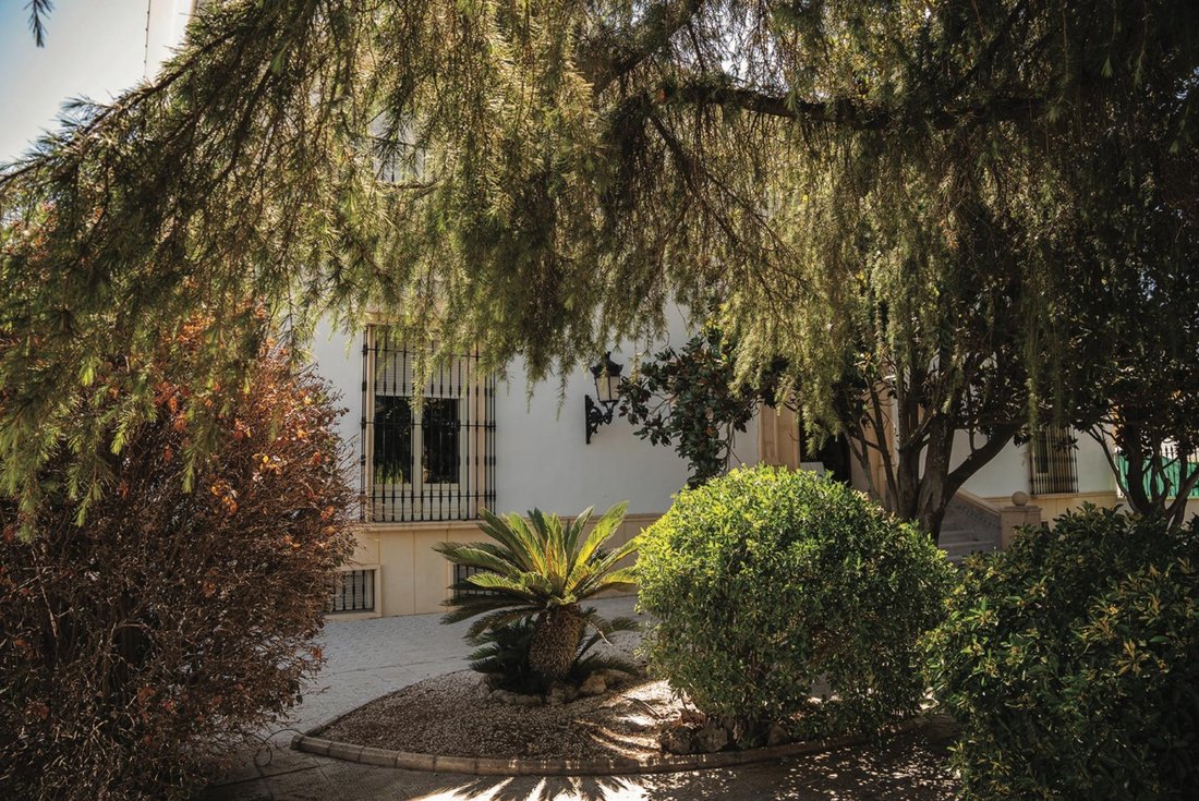 Casa en Montemayor, Andalucía, España 5 - 18902813