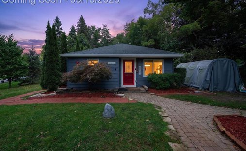 Maison à Township of Hamburg, Michigan, États-Unis 1