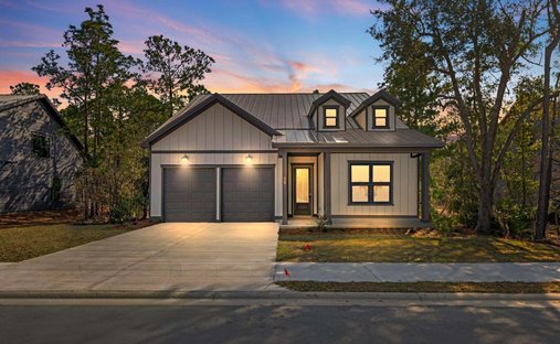House in Santa Rosa Beach, Florida, United States 1