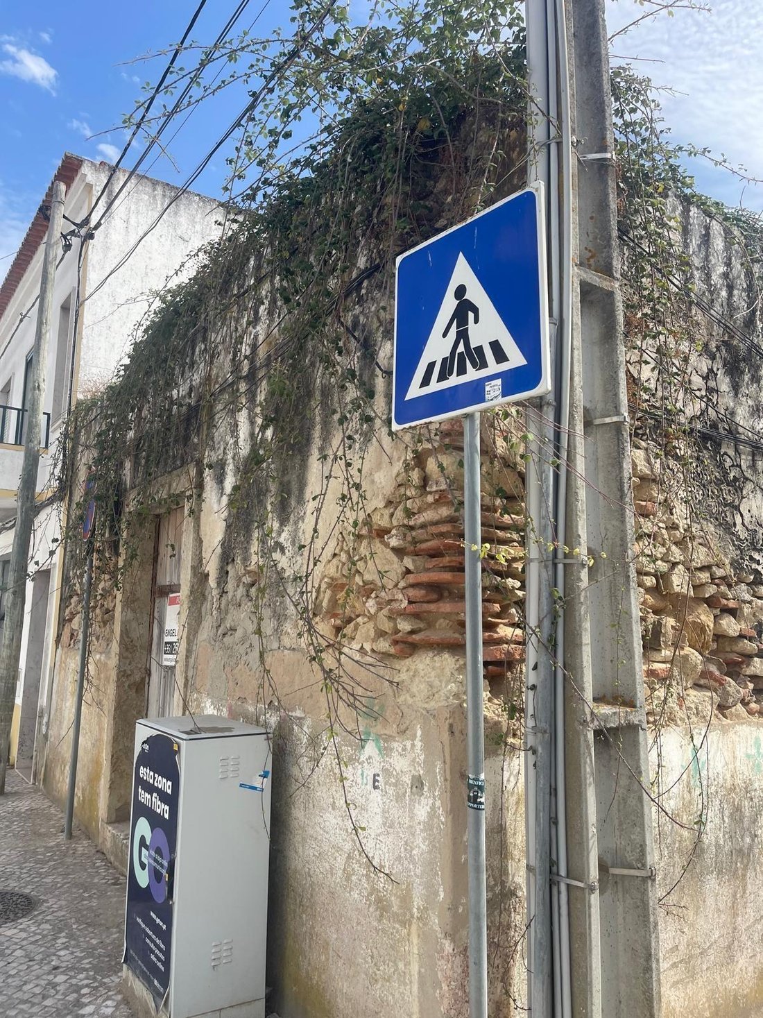 Autres à Alcácer do Sal, Setúbal Municipality, Portugal 4 - 18903735