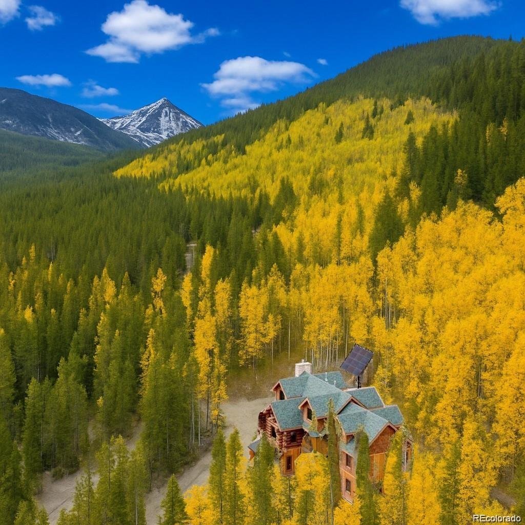 House in Idaho Springs, Colorado, United States 4 - 18809495