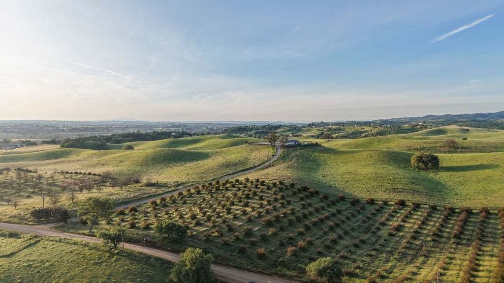 House in Paso Robles, California, United States 3 - 18900522