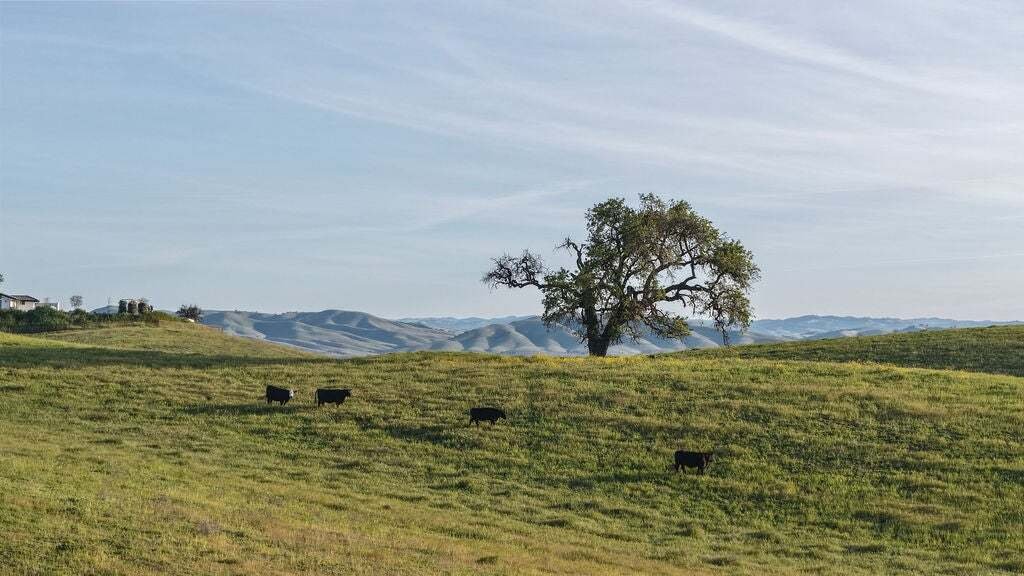 House in Paso Robles, California, United States 4 - 18900522