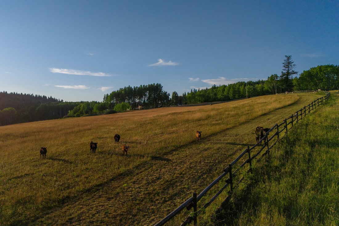 Farm Ranch in Bridge Lake, British Columbia, Canada 5 - 18902703