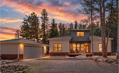 House in Nederland, Colorado, United States 1