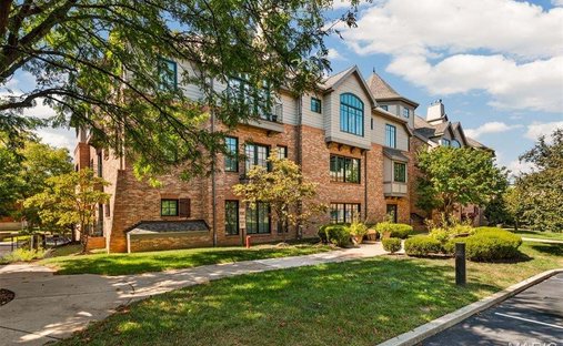 Condo in Kirkwood, Missouri, United States 1