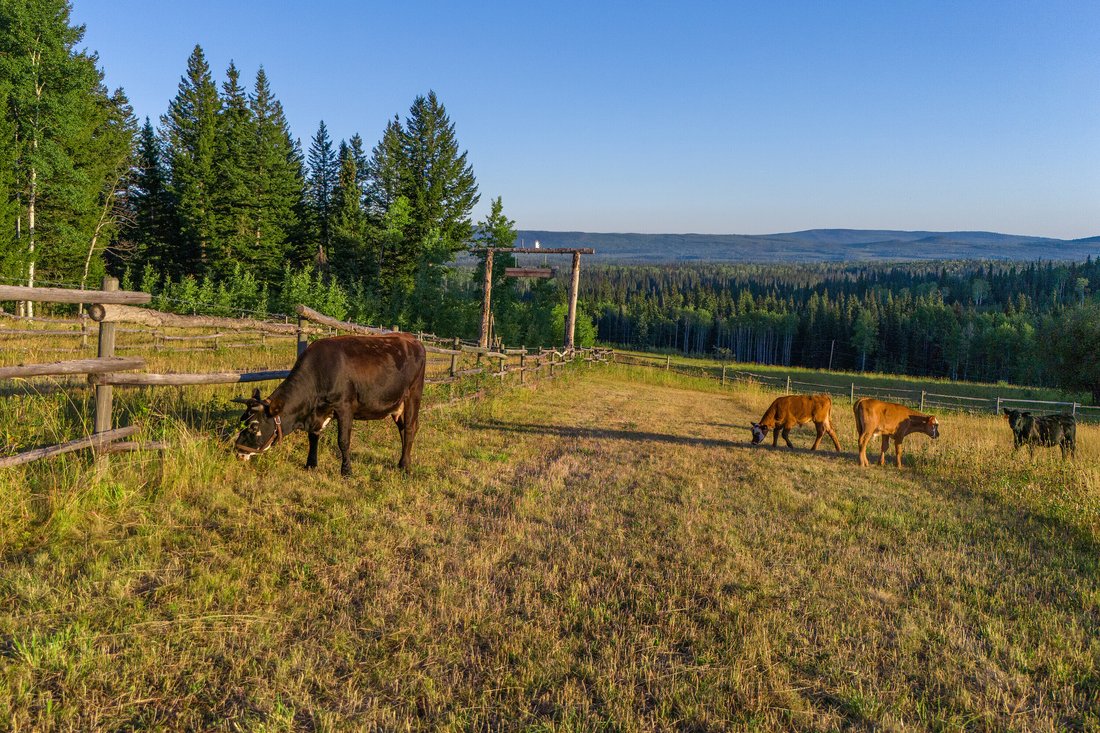 Farm Ranch in Bridge Lake, British Columbia, Canada 4 - 18902703