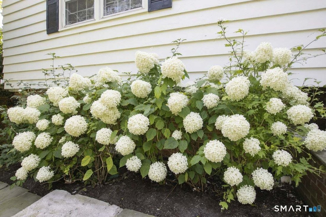 House in Norwalk, Connecticut, United States 2 - 18903519