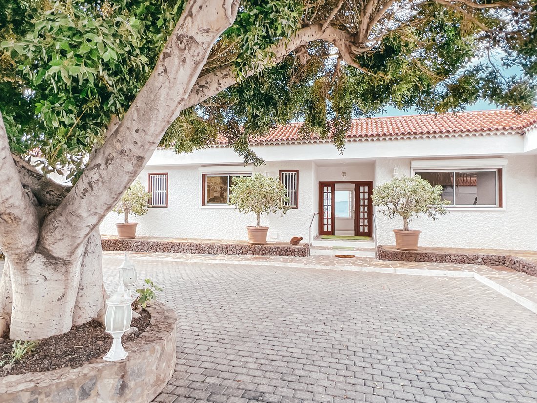 Finca en Guia de Isora, Canarias, España 4 - 18904422