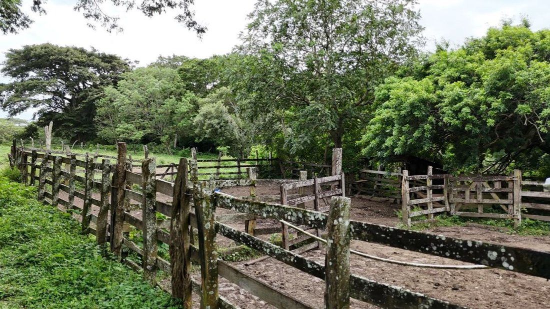 Land in Tilarán, Tilarán, Costa Rica 3 - 18904533