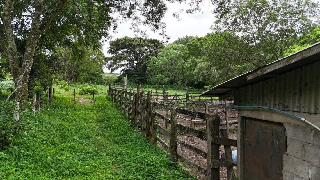 Land in Tilarán, Tilarán, Costa Rica 4 - 18904533