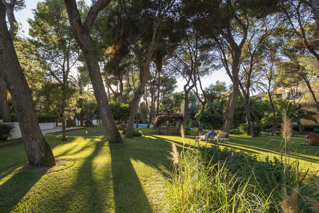 Apartment in Santa Ponsa, Balearic Islands, Spain 4 - 18904620