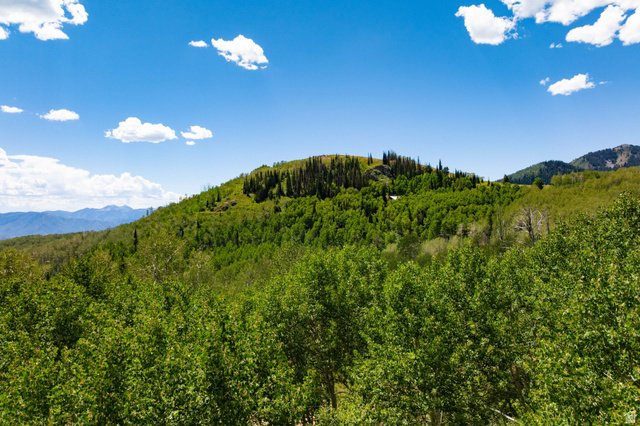 Land in Midway, Utah, United States 4 - 18904696