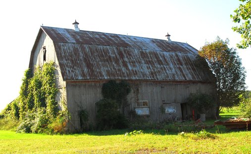 Land in Prince Edward, Ontario, Canada 1