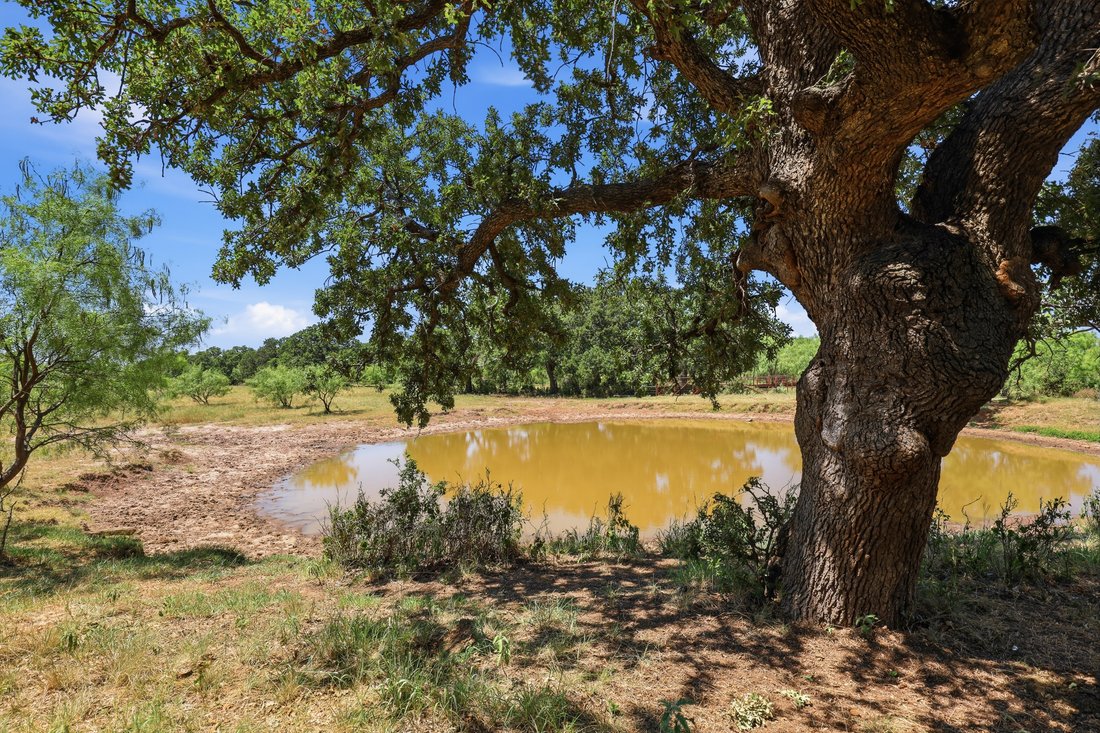 Terreno a Cisco, Texas, Stati Uniti 2 - 18905074