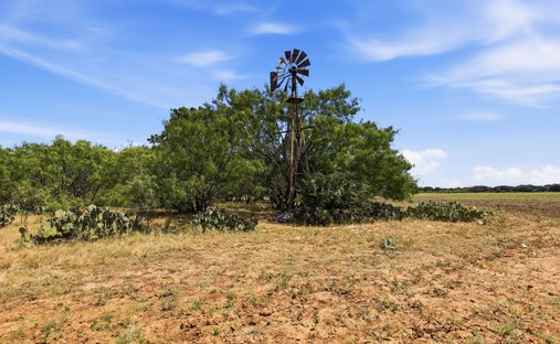 Terrain à Cisco, Texas, États-Unis 1