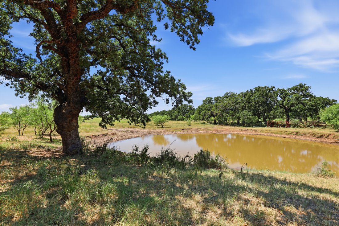 Terreno a Cisco, Texas, Stati Uniti 3 - 18905074