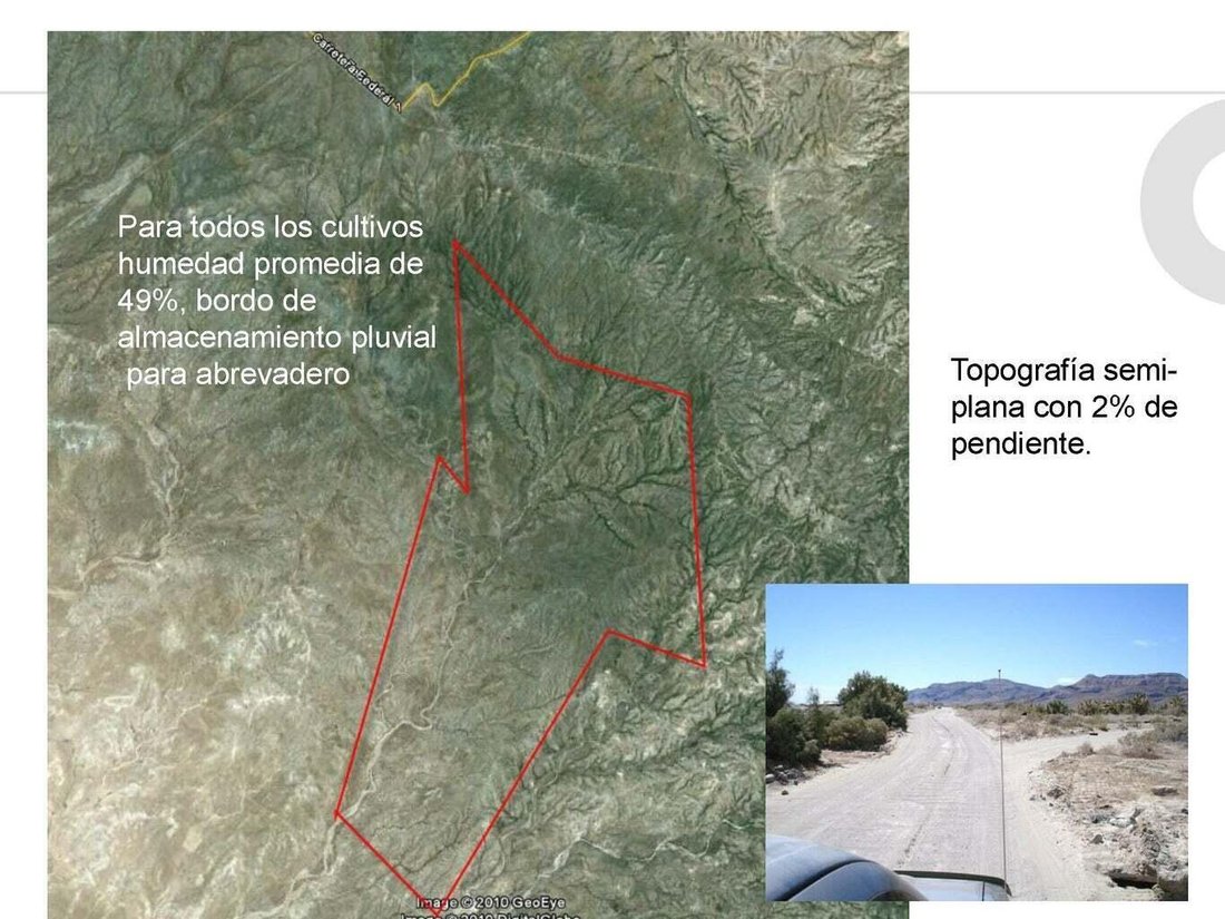 Tepetate, Baja California Sur, Mexico 5 - 18904703