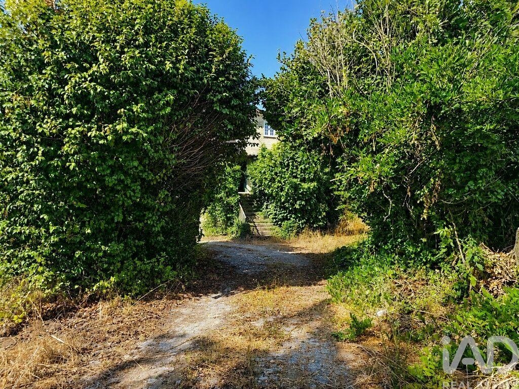 Azienda agricola a Abragão, Oporto, Portogallo 4 - 18905083