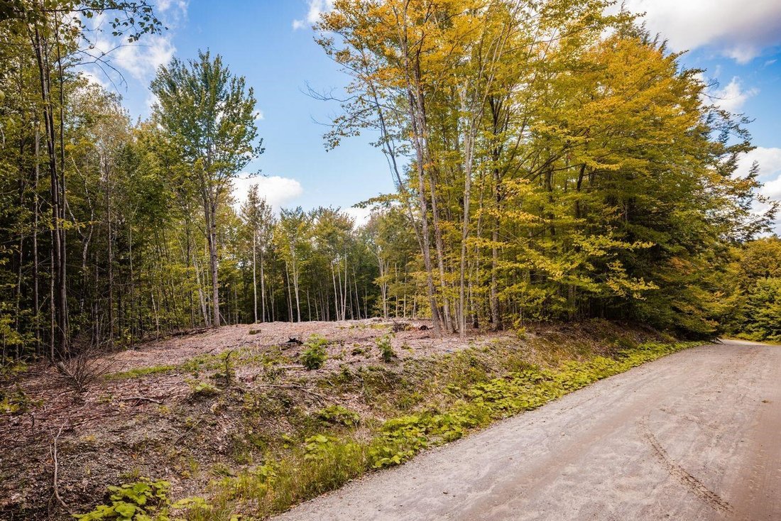 Land in Stowe, Vermont, Vereinigte Staaten 5 - 18904674